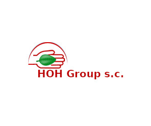 HOH Group Logo